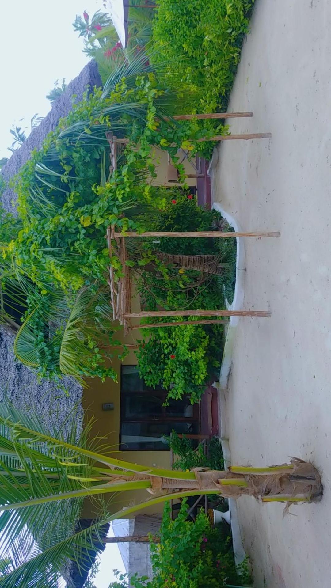 Amber Lodge Pongwe Exterior photo